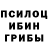 Галлюциногенные грибы Magic Shrooms Ruslana Tishchenko