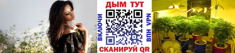 дарк нет как зайти  Павловская  Бошки марихуана сатива 